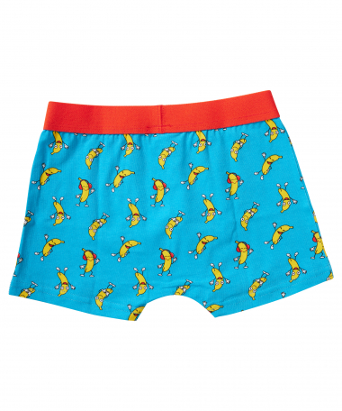 funny boxershort