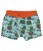 funny boxershort